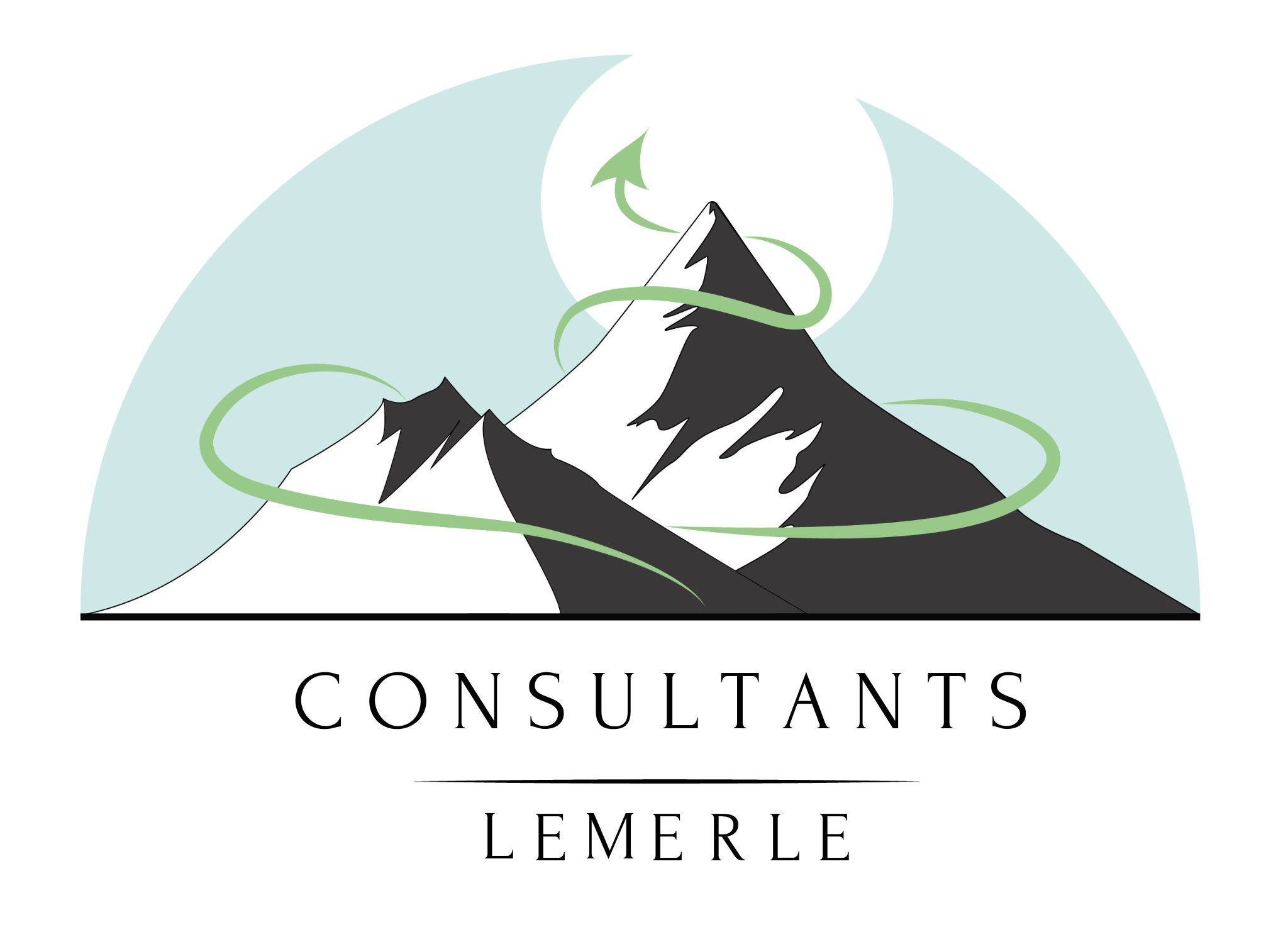 Lemerle-Consultants